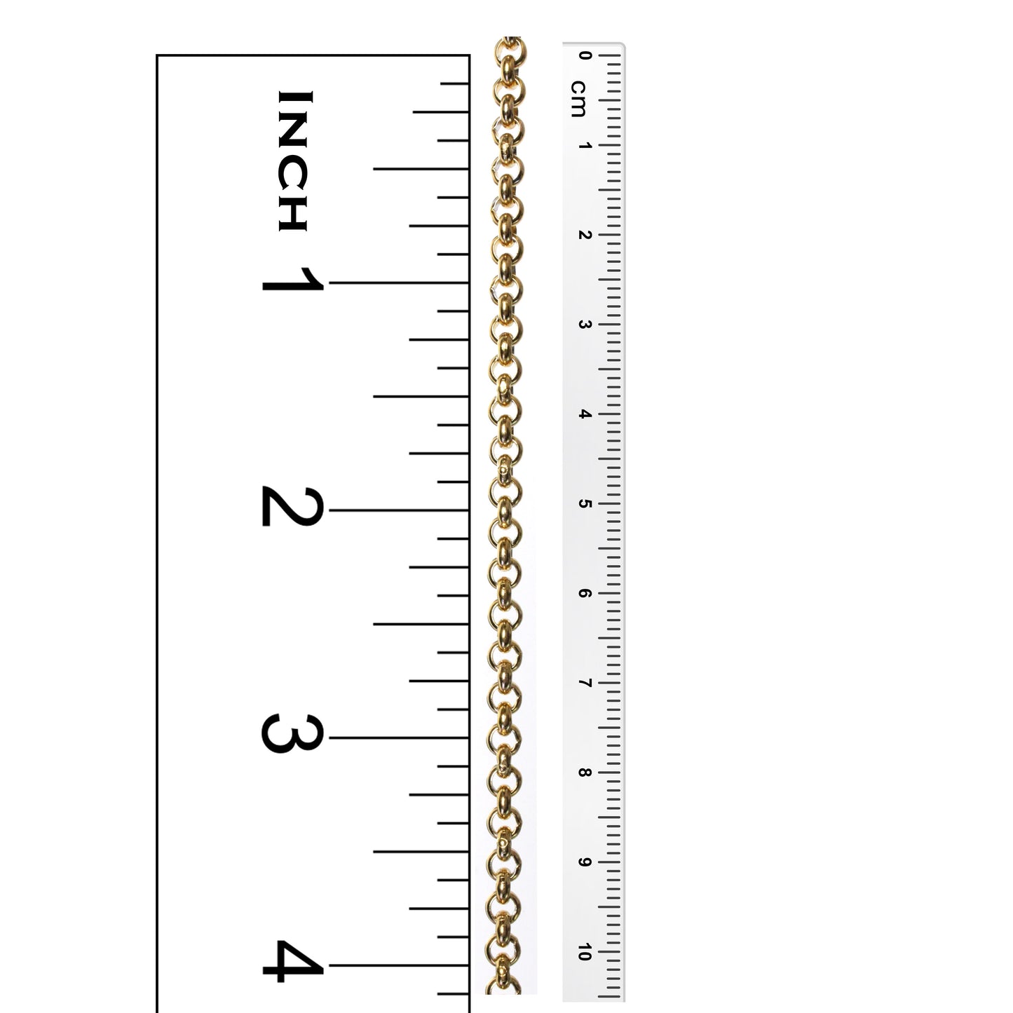 Medium Rollo Chain / gold plated stainless steel / sold by the foot / 4mm links (OD)