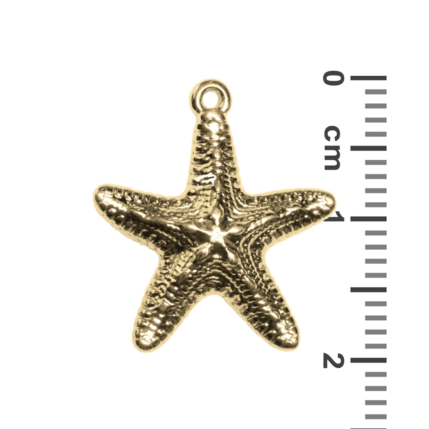 Starfish Pendant / 19x17mm / Gold 24K Plated Zamak / with ruler