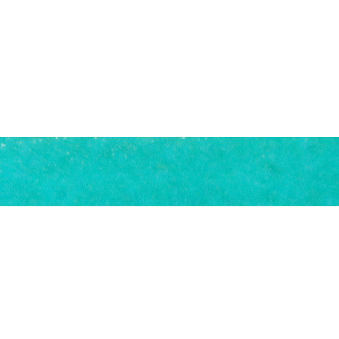JADE Italian Dolce Flat Leather Strap / sold by the foot / 10 mm wide x 2 mm thick