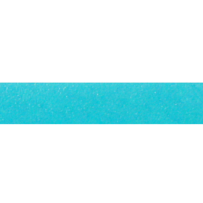 TURQUOISE PUYA Italian Dolce Flat Leather Strap / sold by the foot / 10 mm wide x 2 mm thick