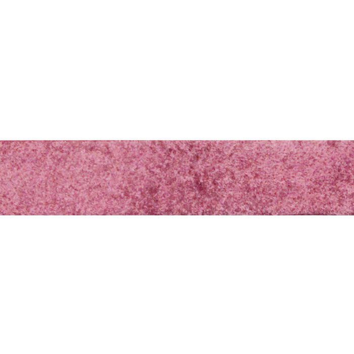 PLUM Vintage Mediterranean Flat Leather Strap / sold by the foot / 10 mm wide x 2 mm thick