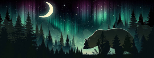 Night Forest Bear