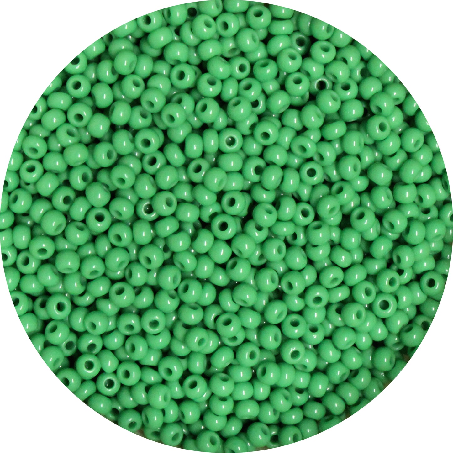 10/0 MEDIUM GREEN Seed Beads  / 500 grams /  Preciosa Czech Glass