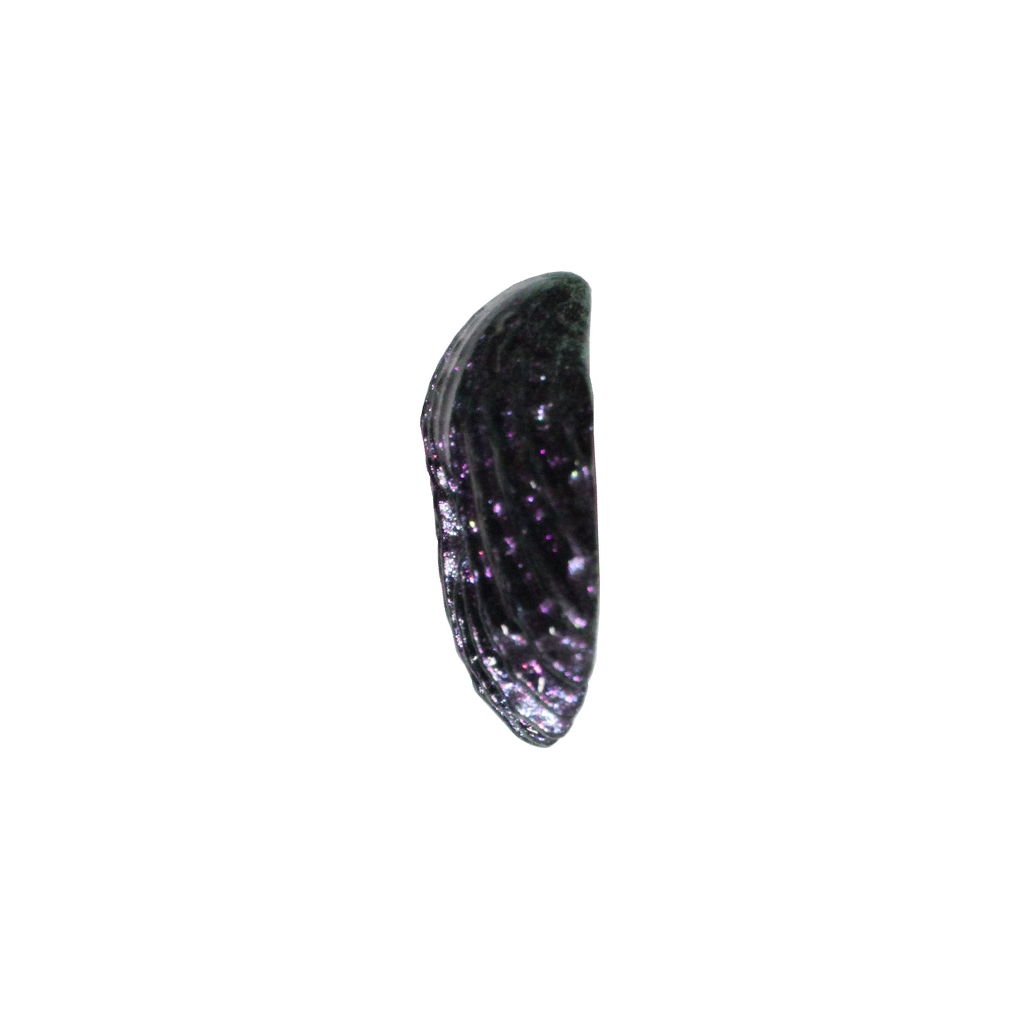 Sea Shell Two Hole Button / iridescent purple / 18mm x 20mm / polymer clay / decorative for jewelry