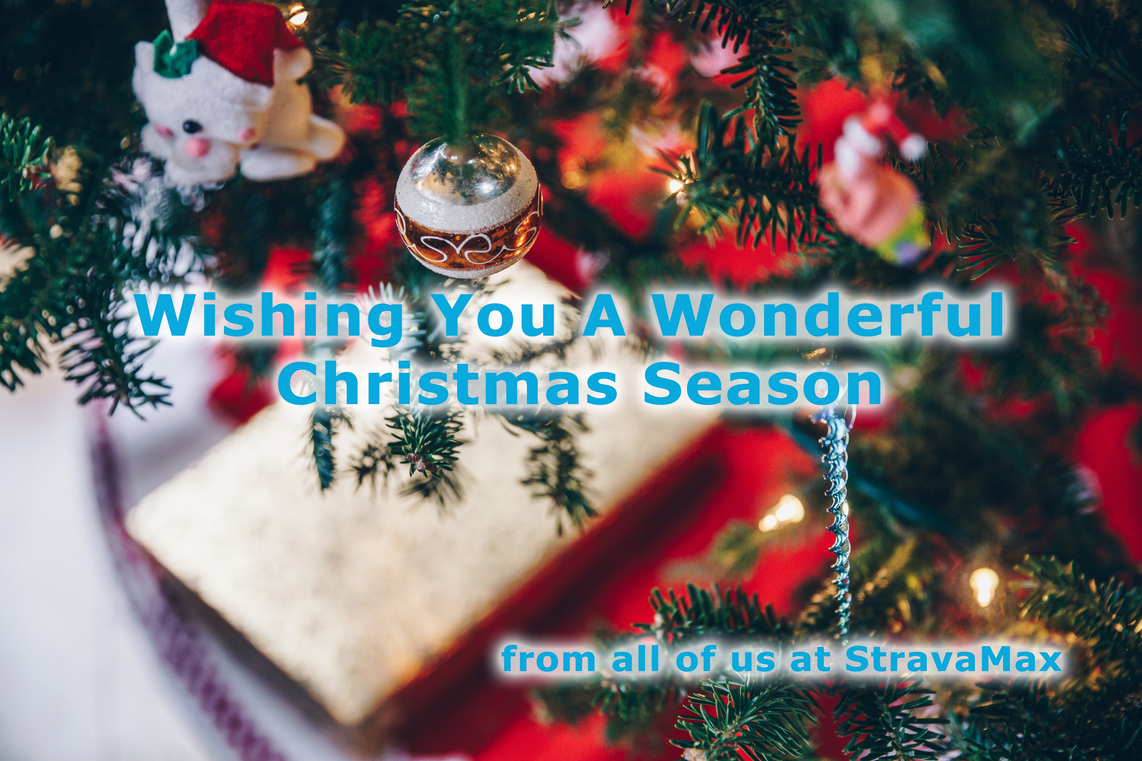 Wishing You a Wonderful Christmas Season