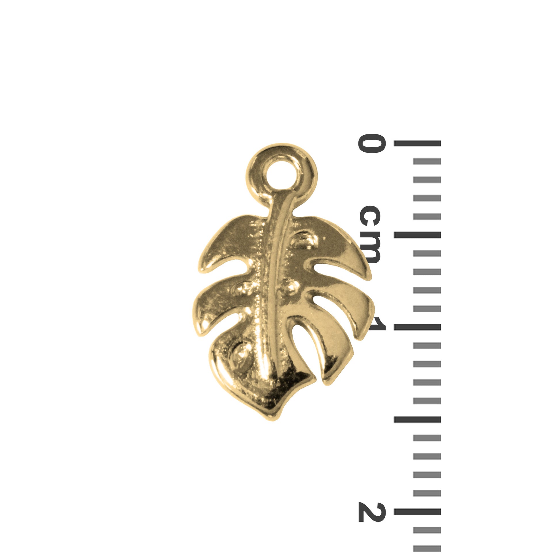 Monstera Charm / 14.5x9.5mm / Gold 24K Plated Zamak / with ruler