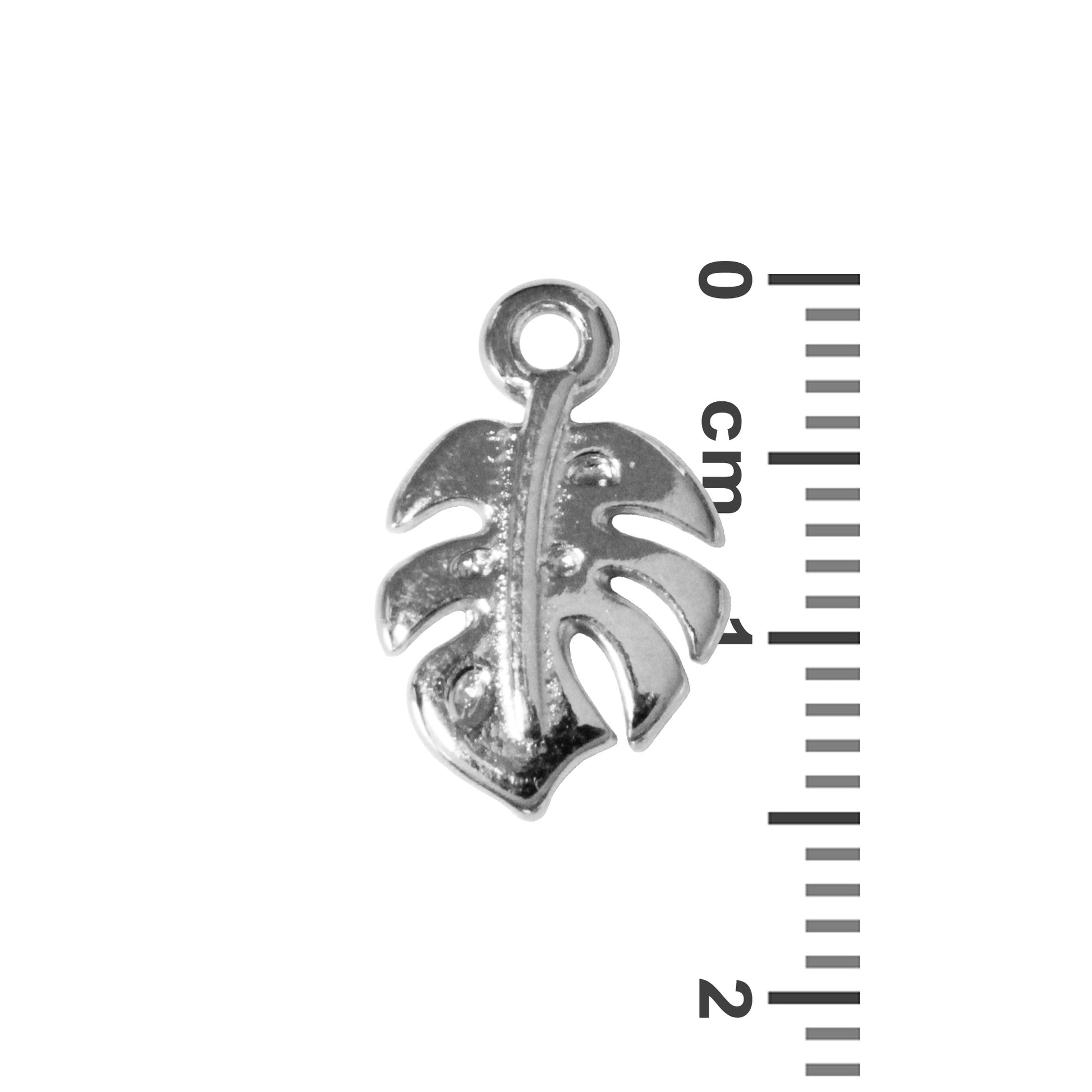 Monstera Charm / 14.5x9.5mm / Antique Silver Zamak / with ruler