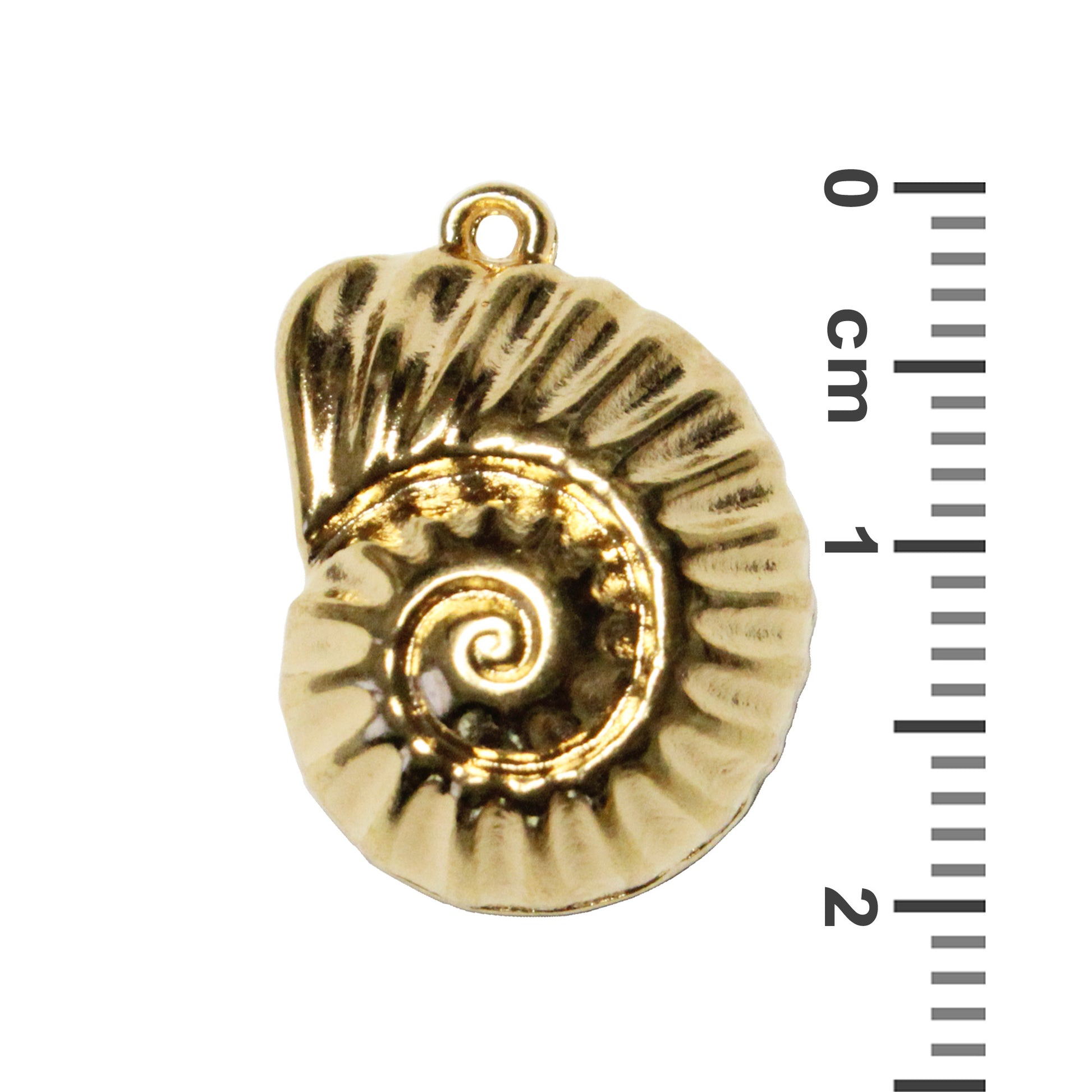20mm Nautilus Shell Pendant / Gold 24K Plated Zamak / with ruler