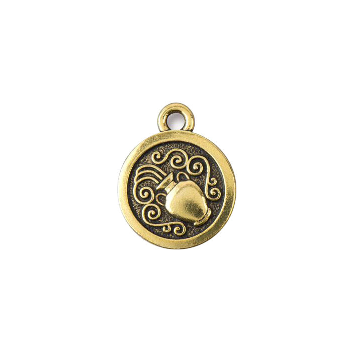 TierraCast Aquarius Zodiac Charm / pewter with antique gold finish