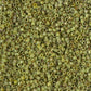 DB-2265 Key Lime Picasso 11/0 Miyuki Delica Seed Beads (10 gram bag)