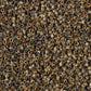 DB-2267 Rattlesnake Picasso 11/0 Miyuki Delica Seed Beads (10 gram bag)